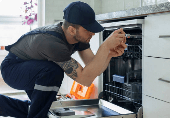 Dishwasher Malfunctions services by Mesa Plumbing