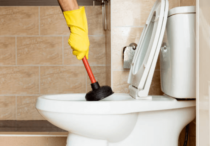 Clogged Toilets services by Mesa Plumbing