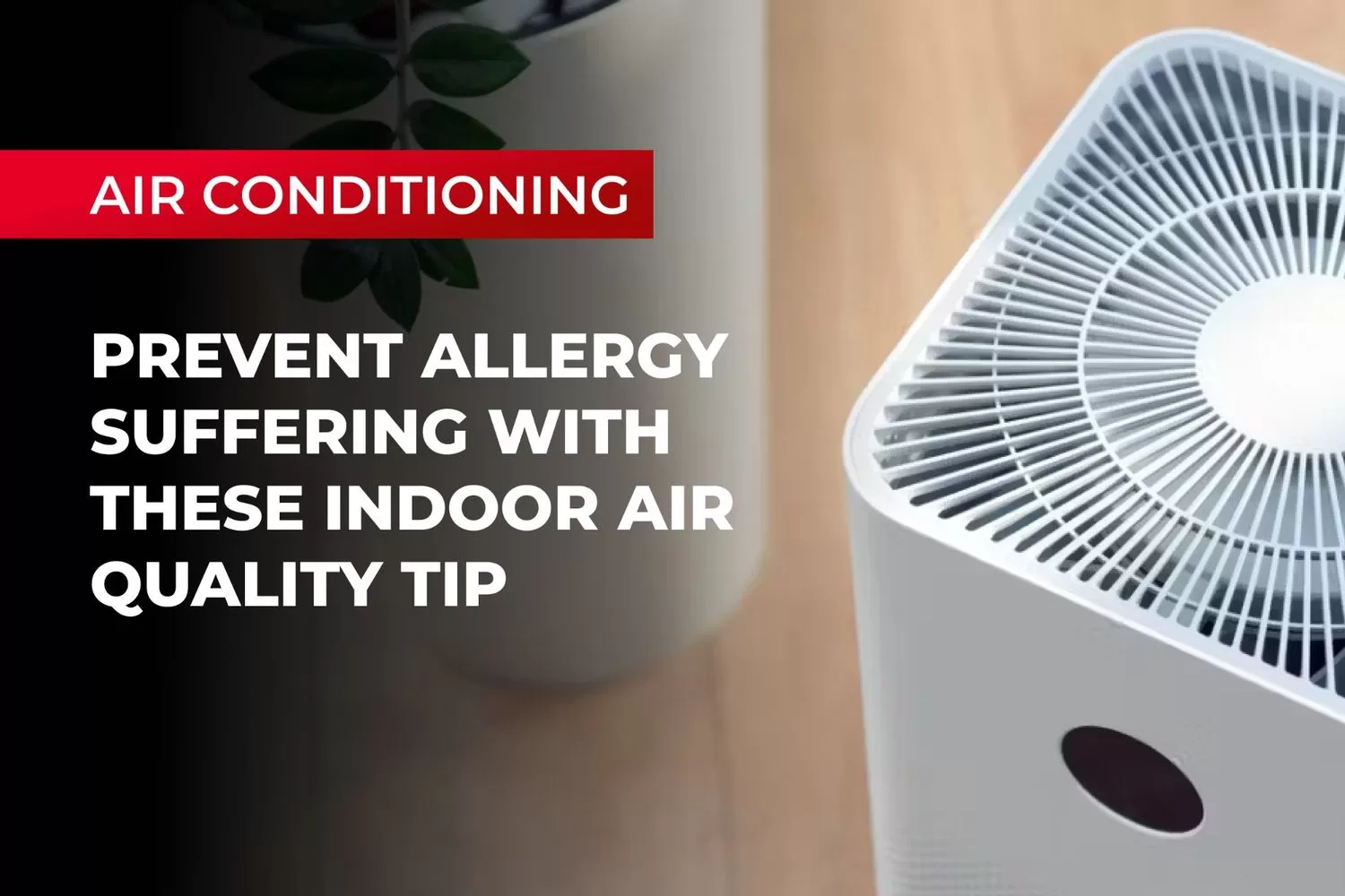 Prevent Allergy Suffering with These Indoor Air Quality Tips